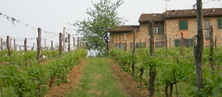azienda Baraccone